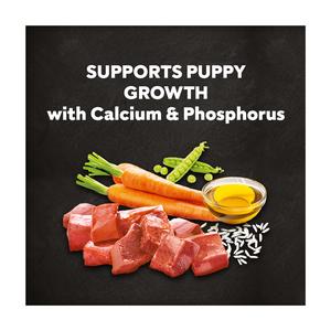 Cesar 1.4kg Junior Puppy Dry Dog Food with Fresh Chicken Rice & Vegetables - gallery image 3
