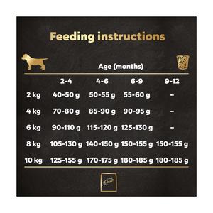 Cesar 1.4kg Junior Puppy Dry Dog Food with Fresh Chicken Rice & Vegetables - gallery image 5