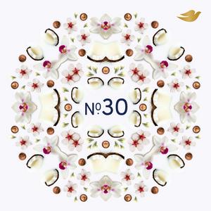 Dove 35ml Macadamia & Coconut No 30 Antiperspirant Stick Deodorant Refill - gallery image 2