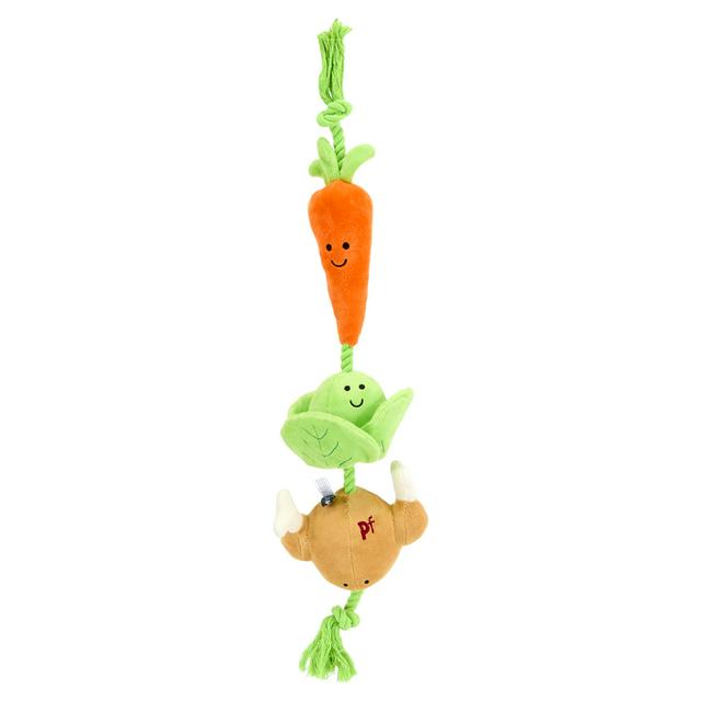 Petface Roast Dinner Tugger Plush & Rope Dog Toy - gallery image 1