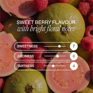 Goodrays 4 x 330ml CBD Raspberry & Guava Can - gallery image 4