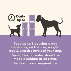 Applaws Taste Toppers 6 x 85g Variety Selection in Broth Natural Wet Dog Food Pouches - gallery image 6