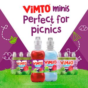 Vim2o Minis 6 x 250ml Blackcurrant, Raspberry & Grape Flavoured Water Kids Drinks - gallery image 3