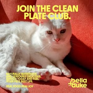Bella + Duke 200g Chicken Meatballs Cat Food - gallery image 5