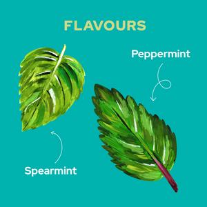 Yorkshire Tea 20 x Soothe Peppermint & Spearmint Herbal Tea Bags - gallery image 5