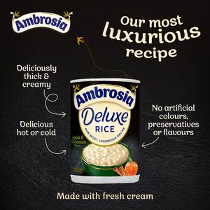 Ambrosia 400g Deluxe Apple & Cinnamon Rice Pudding Dessert Can - gallery image 2