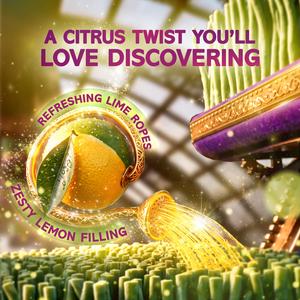 Wonka 100g Magic Garden Lemon & Lime Flavour - gallery image 2