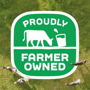 Arla Big Milk 250ml Whole Milk - gallery image 5