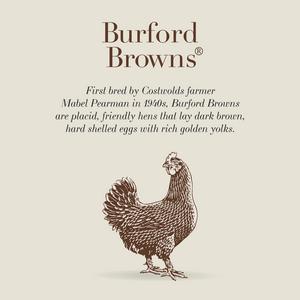 Clarence Court Mabel Pearman's Burford Browns 10 x Medium Free Range Eggs - gallery image 2