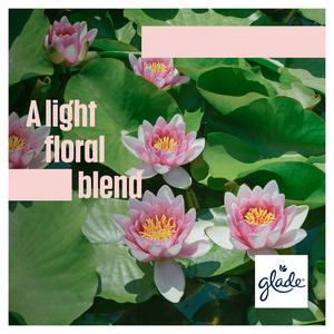 Glade One Relaxing Zen Starter Kit Refillable Room Spray 13ml - gallery image 3