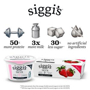 Siggi's Skyr 450g Natural 5% Fat Icelandic Style Yogurt - gallery image 3