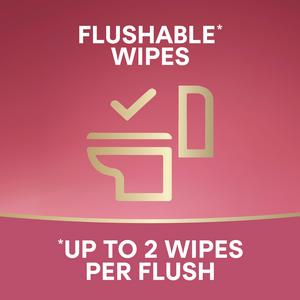 Andrex Protect & Care 36 x Flushable Moist Toilet Tissue Hygiene Wipes - gallery image 2