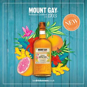 Mount Gay 70cl Bajan Spiced Rum Based Spirit - gallery image 2