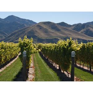 Villa Maria Private Bin Chardonnay East Coast Still White Wine Bottle 75cl - gallery image 4