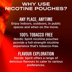 Nordic Spirit 9mg Dark Fizz Extra Strong Nicotine Pouches - gallery image 4