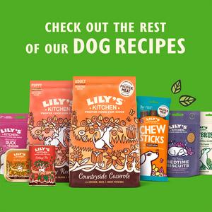 Lily's Kitchen 150g Pub Lunch Fish & Chips Wet Adult Dog Food - gallery image 6